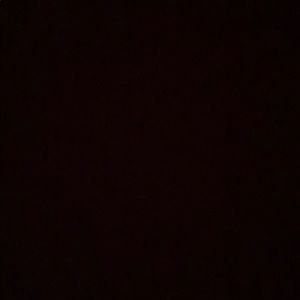 Meet your Posher, Sashagaye